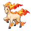 Rapidash