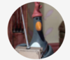 Feathers.McGraw.png