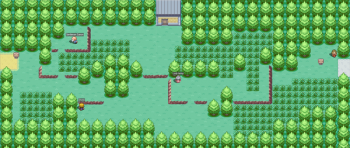 Route 29