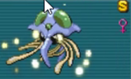 EggTentacruel.png
